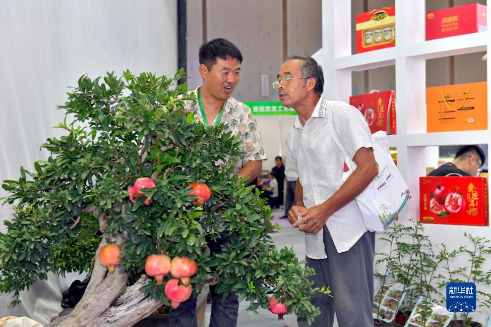 曾氏贵宾会vip